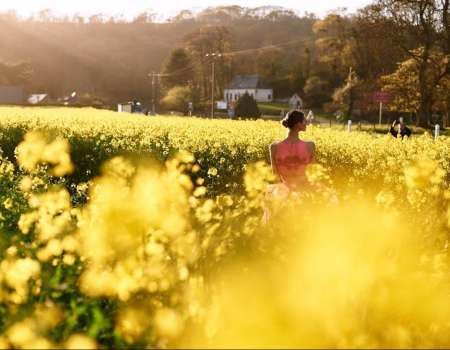 How to choose the right perfume