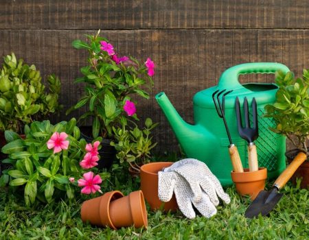 The Importance of Having a Garden: Nurturing Green Spaces for Mindfulness and Well-being