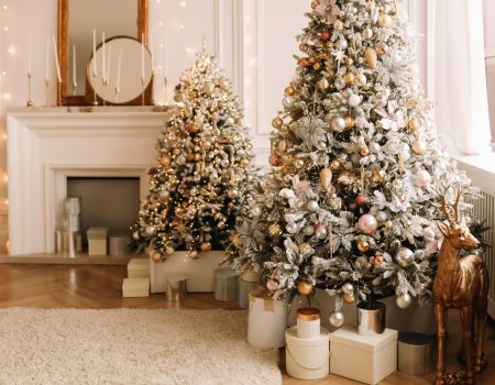 The Magic of Christmas: A Time for Graceful Moments