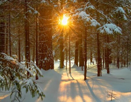 December — The Quiet Alchemy of the Soul