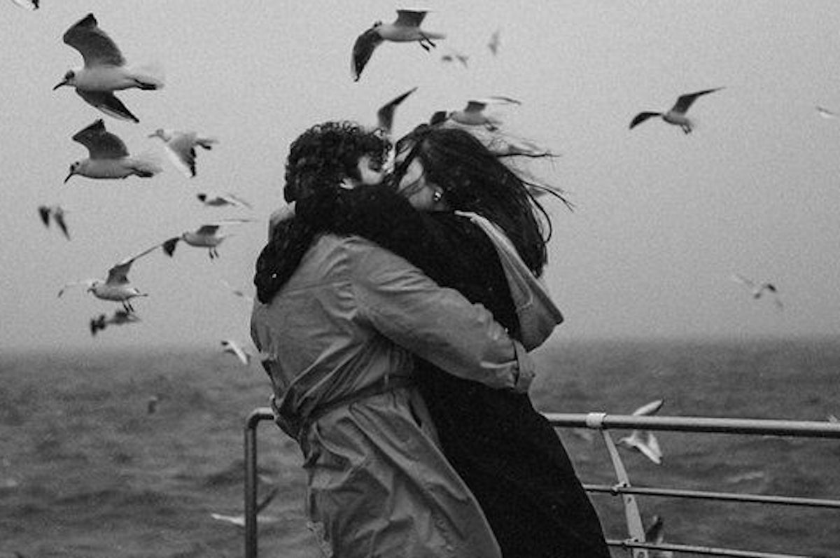 The Mystical Power of Bay Laurel: A Guide to Wealth and Spiritual Rituals