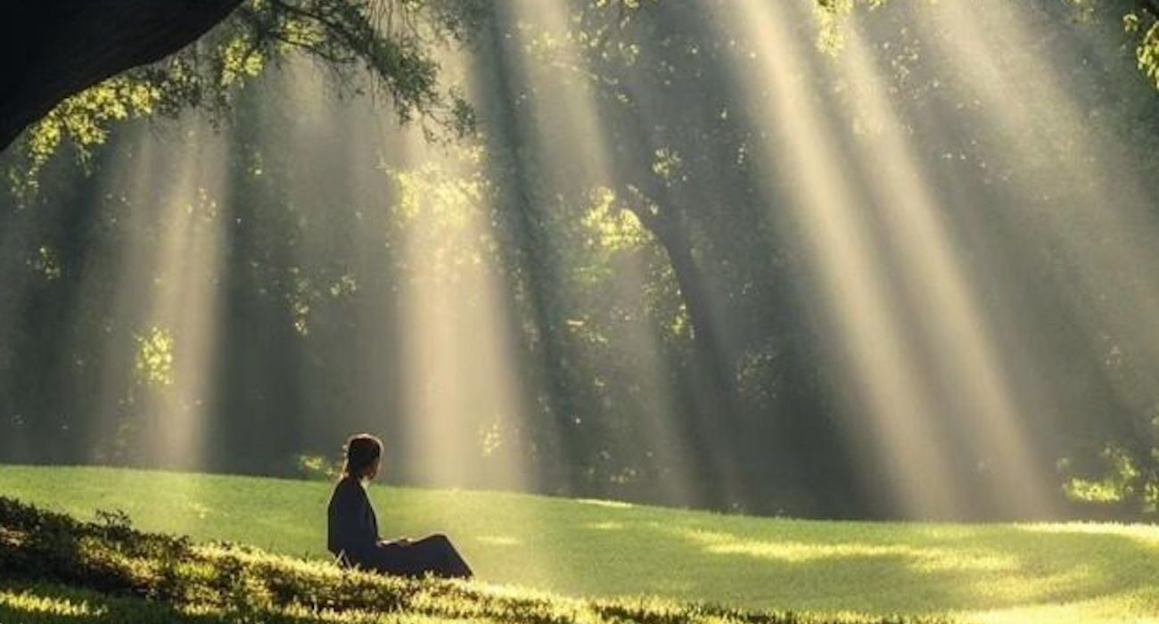 The Quiet Beauty of a Life Well Lived