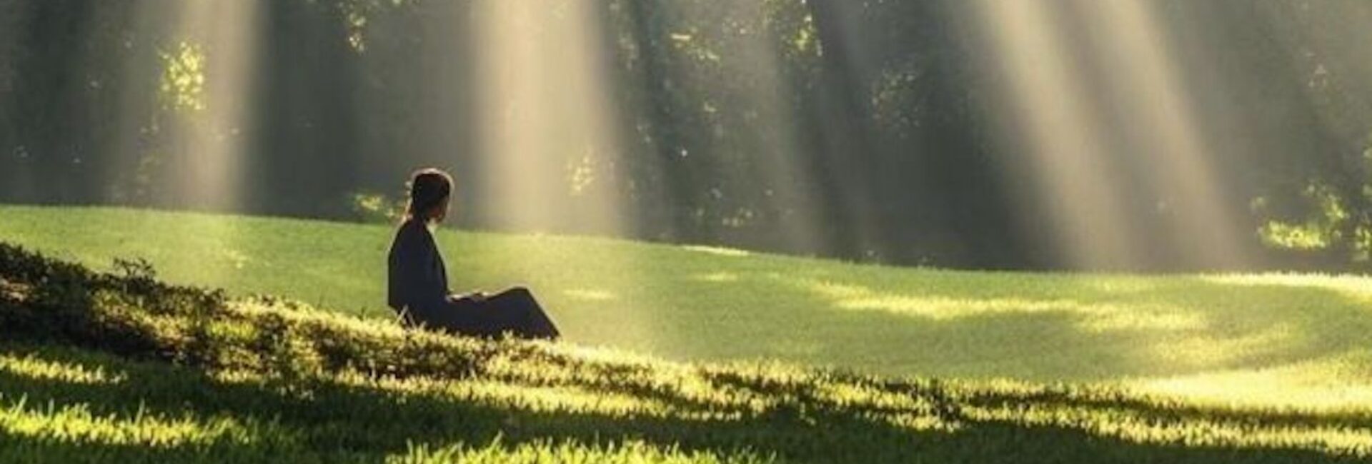 The Quiet Beauty of a Life Well Lived