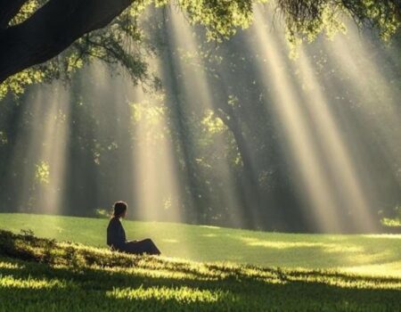 The Quiet Beauty of a Life Well Lived